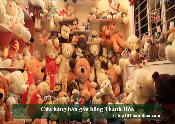 Cửa hàng bán gấu bông Thanh Hóa