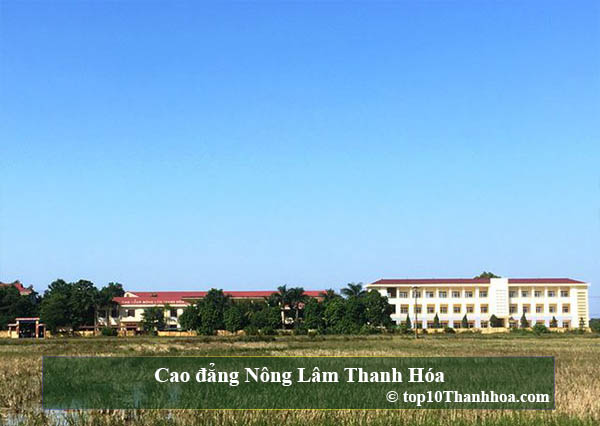 Cao đẳng Nông Lâm Thanh Hóa