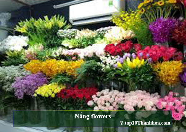 Nắng flowers