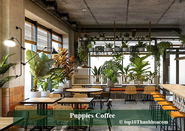 Puppies Coffee