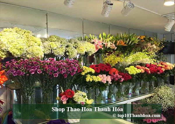 Shop Thao Hoa Thanh Hóa