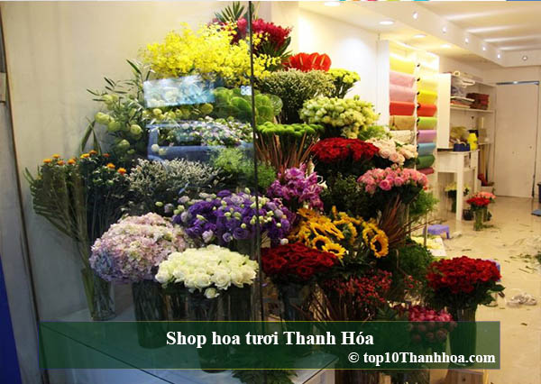Shop hoa tươi Thanh Hóa
